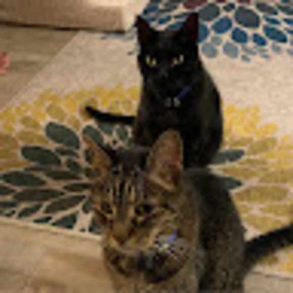 Meet your Posher, Pam - Picture 1 of 1